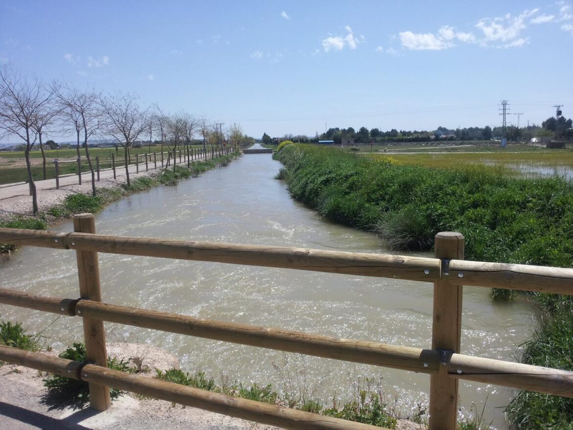 (notitle)