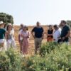Guayule: El cultivo resistente que revoluciona Castilla-La Mancha