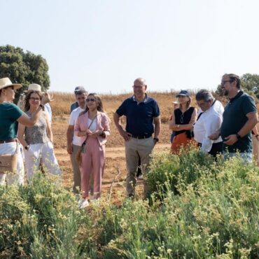 El Gobierno regional pone en valor el guayule, un cultivo emergente con un gran potencial por su resistencia al cambio climático y su adaptación al suelo - SURCO CLM, Diario digital